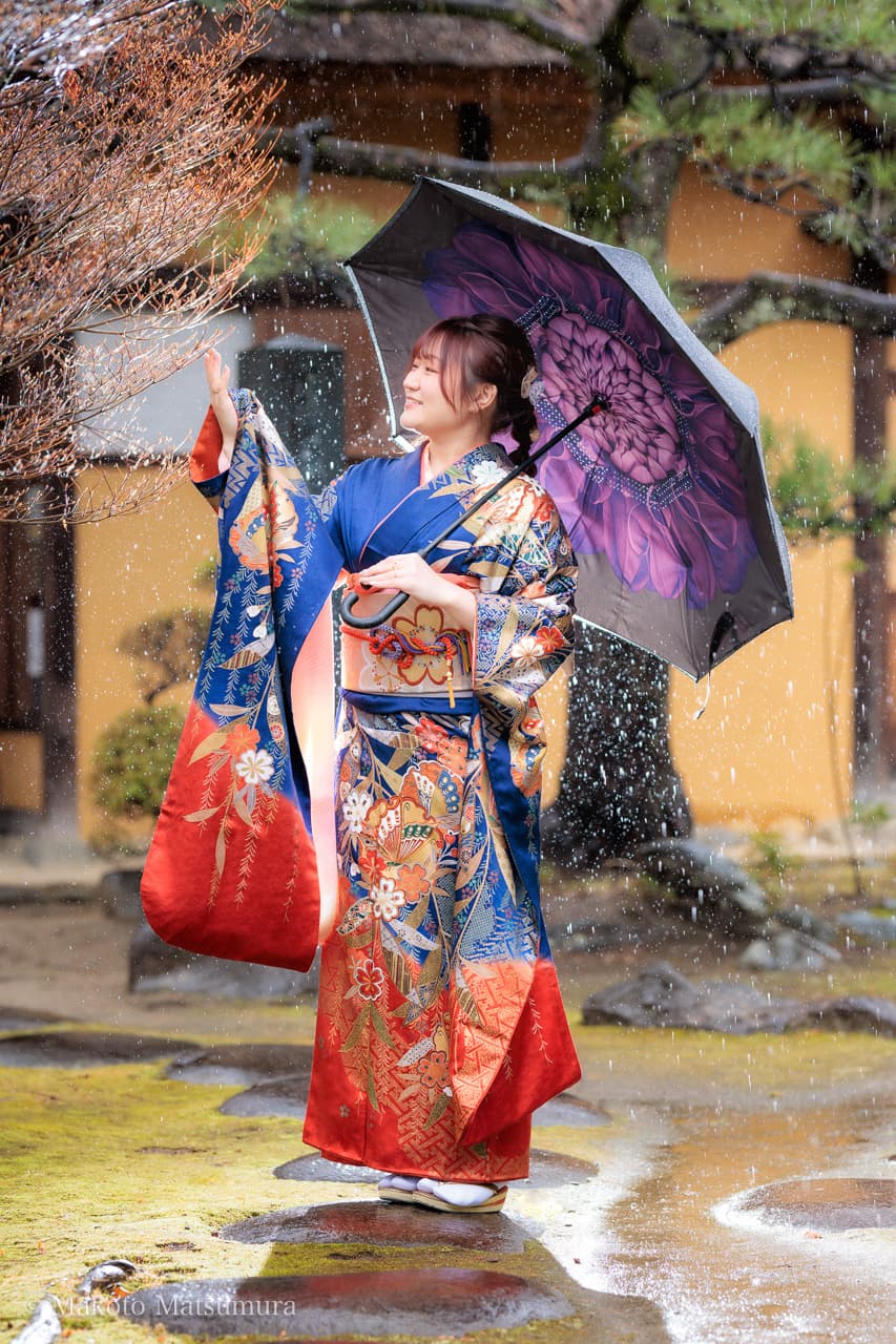 桜の季節　雨の中の振袖写真